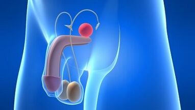 Lubrication in men during the excitement what it is