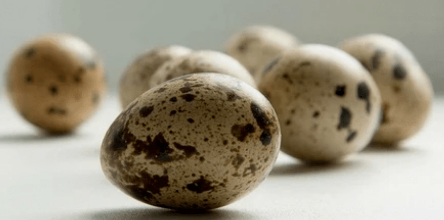 Quail egg for potency